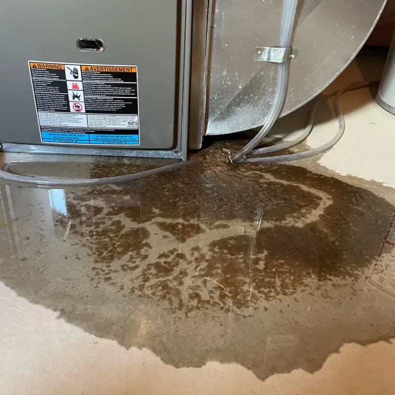 Appliance Leak Cleanup in Newcastle, OK